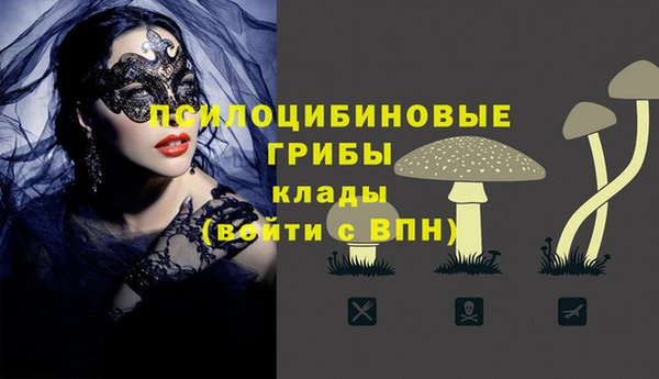 соль ск Богородицк