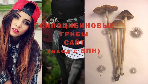 гашиш Богородск