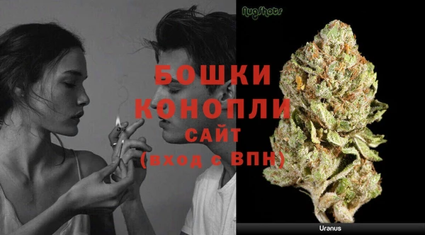соль ск Богородицк