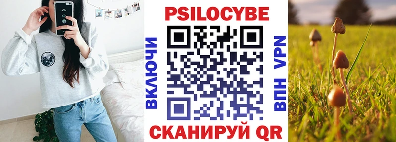 Галлюциногенные грибы мухоморы  Камешково 