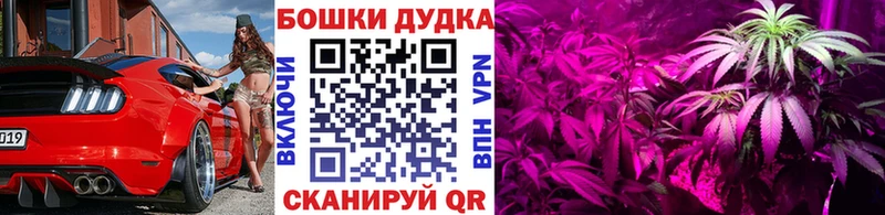 Конопля гибрид  наркота  Камешково 